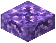 Budding Amethyst Slab