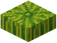 Melon Slab