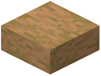 Stripped Jungle Wood Slab