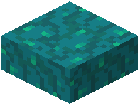 Warped Wart Block Slab