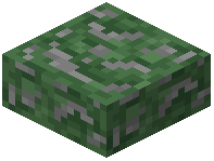 Cracked Dark Green Concrete Slab