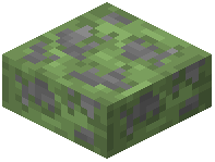 Cracked Green Concrete Slab