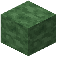 Dark Green Concrete