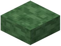 Dark Green Concrete Slab