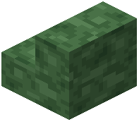Dark Green Concrete Stairs