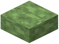 Green Concrete Slab