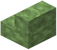 Green Concrete Stairs