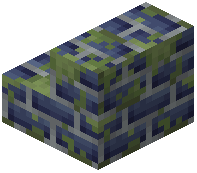 Mossy Blue Brick Stairs