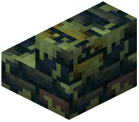 Mossy Mixed Green Brick Stairs