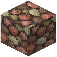 RI Floor