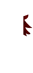 Axe of The Void