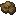 Encased Fossil