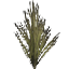 Grass 02