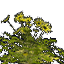 Fine Grass 03