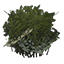 Shrub 01