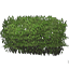 Shrub 03
