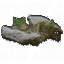 Stone 17