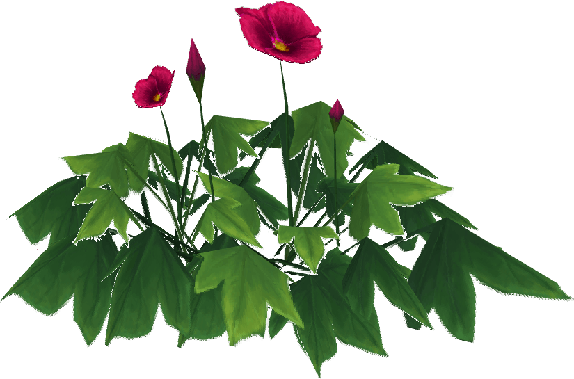 Poppy 01
