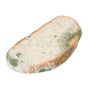 Moldy Bread