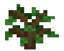 Unstable Otherworld Sapling