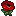 Poppy of Demeter