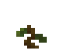 Ferracine Crop