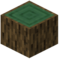 Pine Log