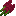 Amaranth