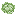 Cabbage