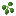 Candleberry