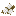 Cotton