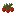 Cranberry
