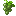 Green Grape