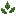 Nettles