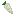 Parsnip