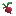 Radish