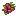 Raspberry