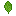 Spinach