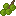 Candlenut