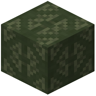 Underground Wallpaper Wall