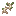 Swedroot