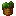Spinach