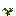 Flower 4