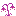 Flower 9
