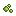 Jungle Spore