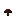 Shadowshroom