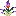 Starlight Blossom