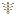 Phantome skeleton