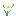 Daffodil