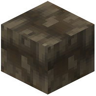 Ginkgo Wood